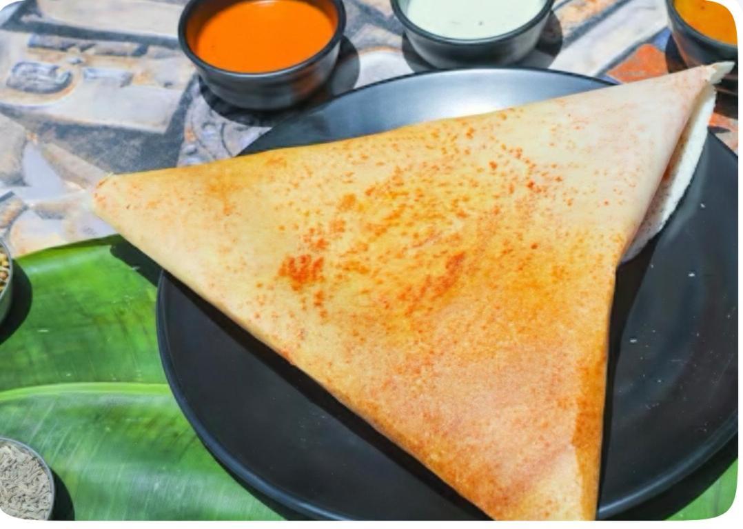 Hotel Dosa Plaza Udaipur Luaran gambar